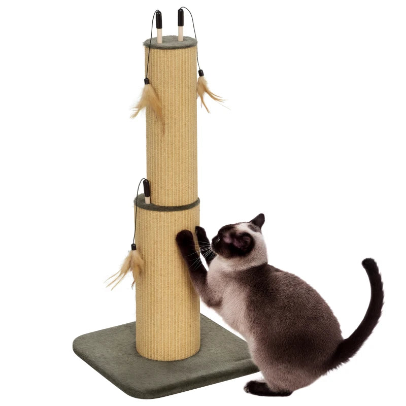 Cat Scratcher Alex - PETSTEP