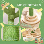 Cat Scratcher Todd - PETSTEP