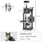 Cat Tree Alfie - PETSTEP