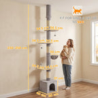 Cat Tree Banky