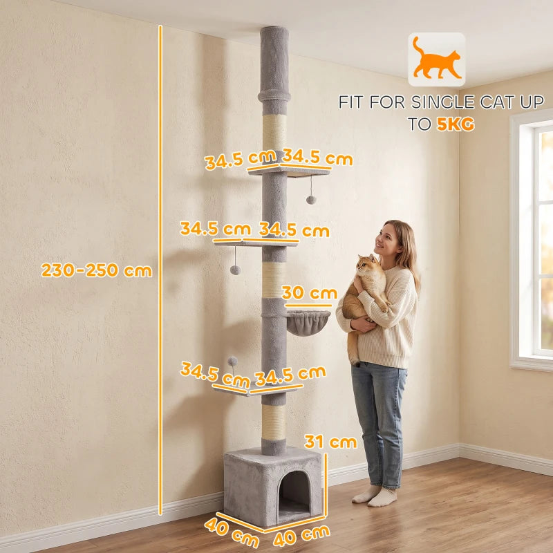 Cat Tree Banky