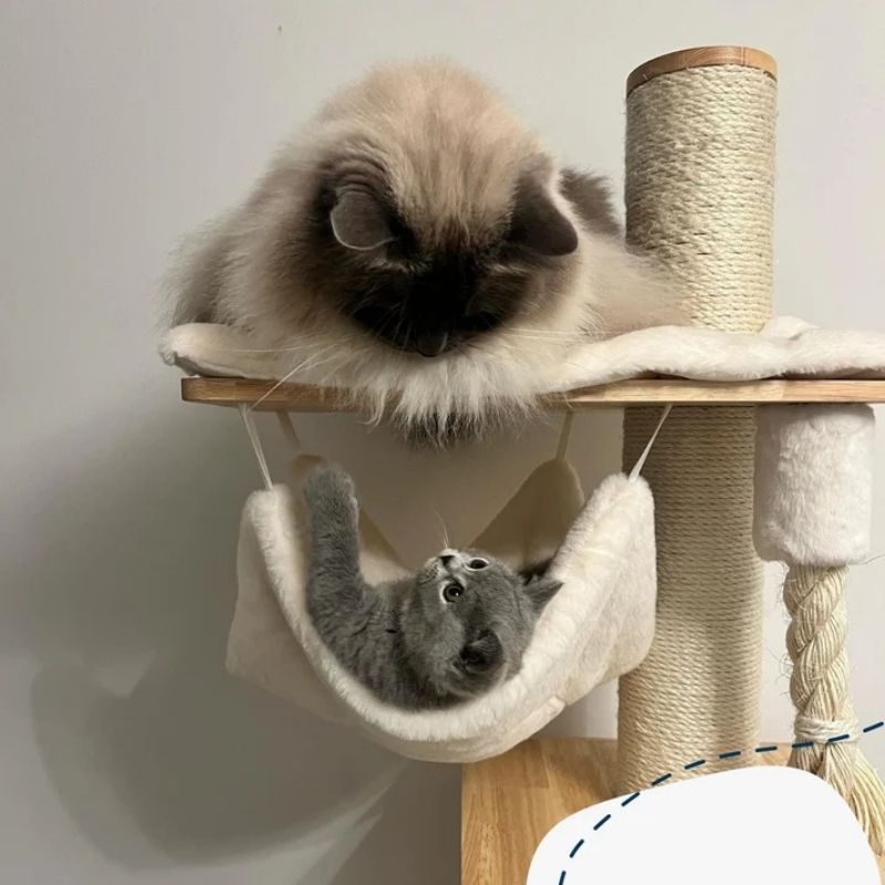 Cat Tree Ellie - PETSTEP