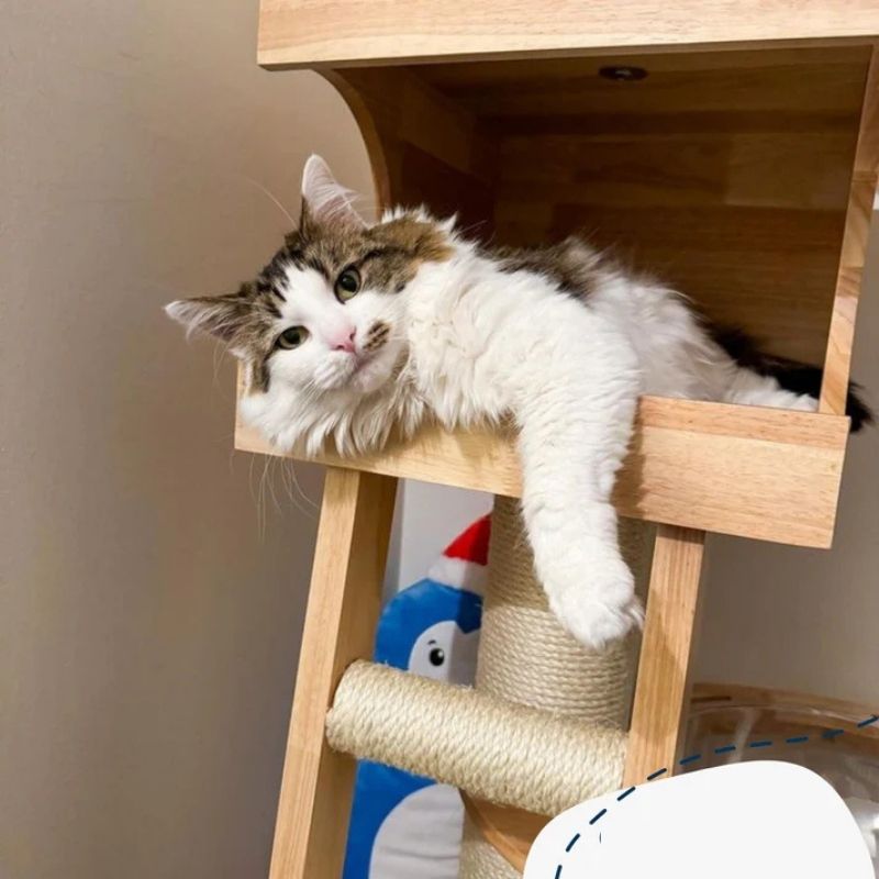 Cat Tree Ellie - PETSTEP