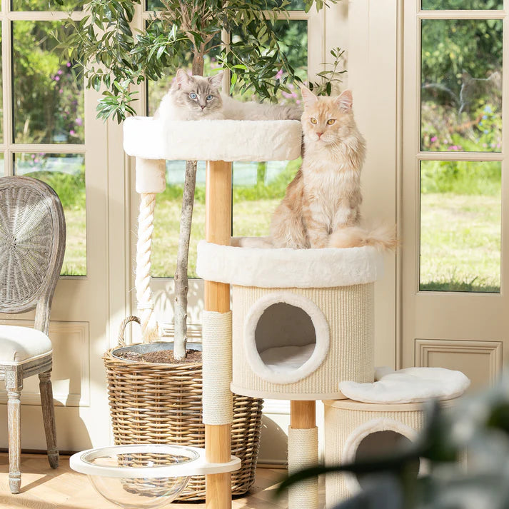 Cat Tree Jake - PETSTEP