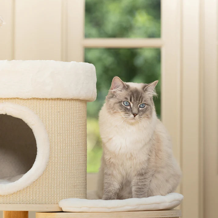 Cat Tree Jake - PETSTEP