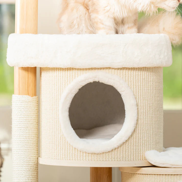 Cat Tree Jake - PETSTEP