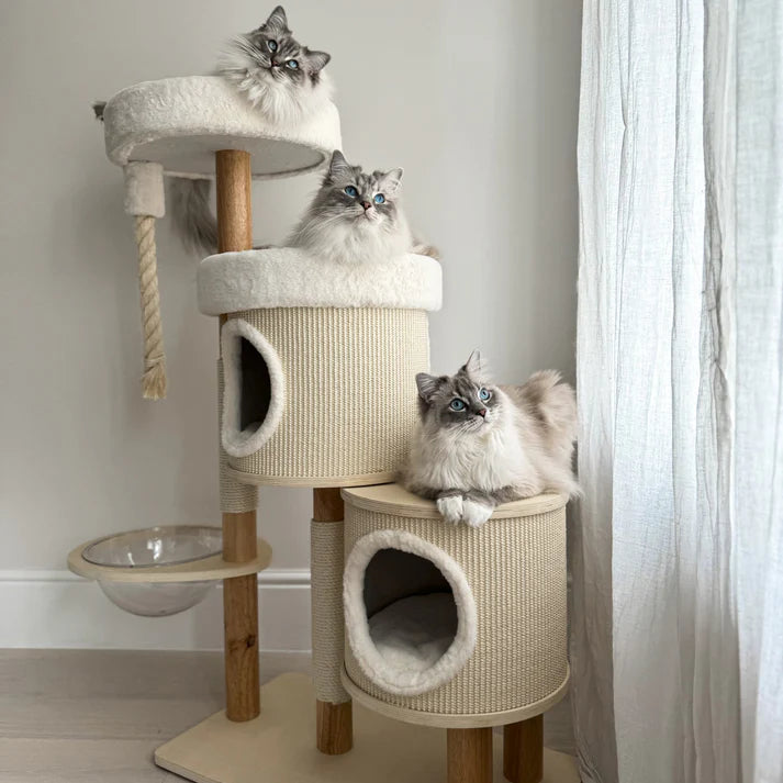 Cat Tree Jake - PETSTEP