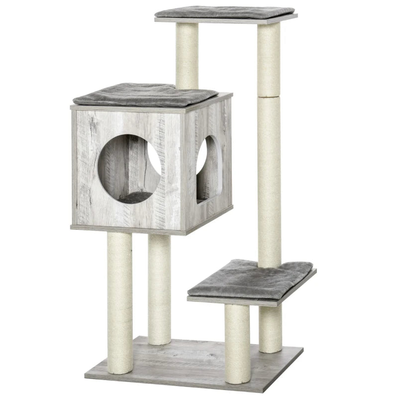 Cat Tree Kala