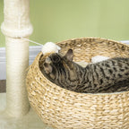 Cat Tree Myles - PETSTEP