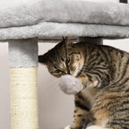 Cat Tree Roma - PETSTEP
