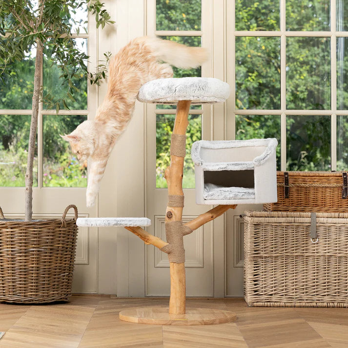 Cat Tree Ruby - PETSTEP