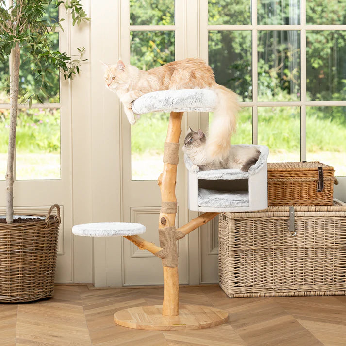 Cat Tree Ruby - PETSTEP
