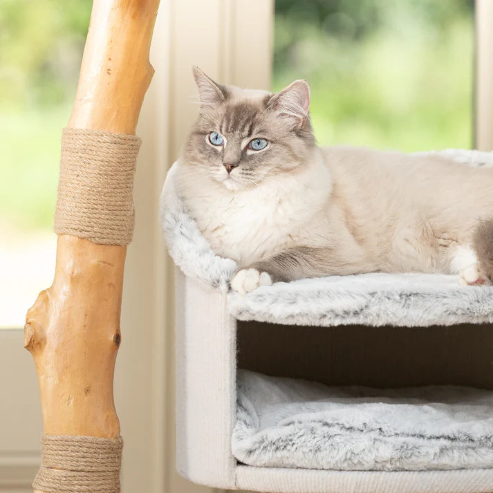 Cat Tree Ruby - PETSTEP