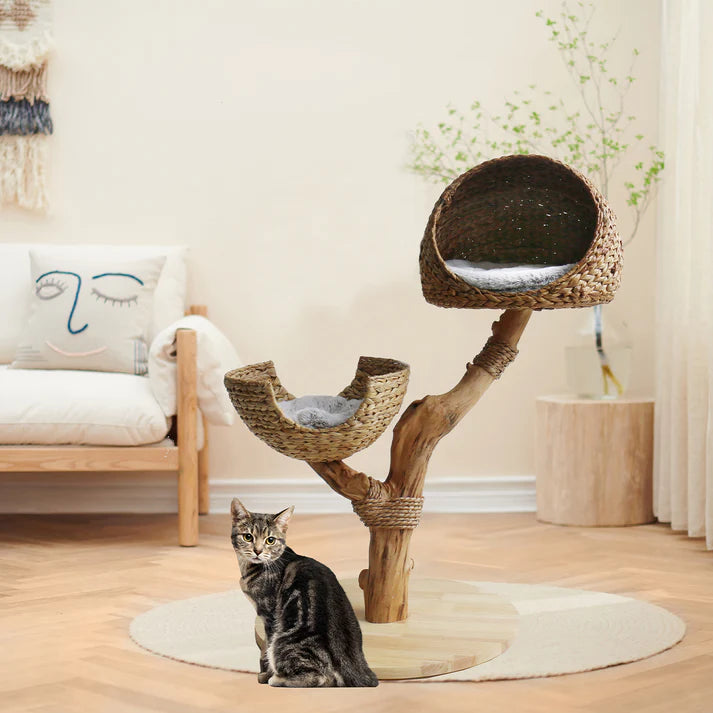 Cat Tree Sage - PETSTEP