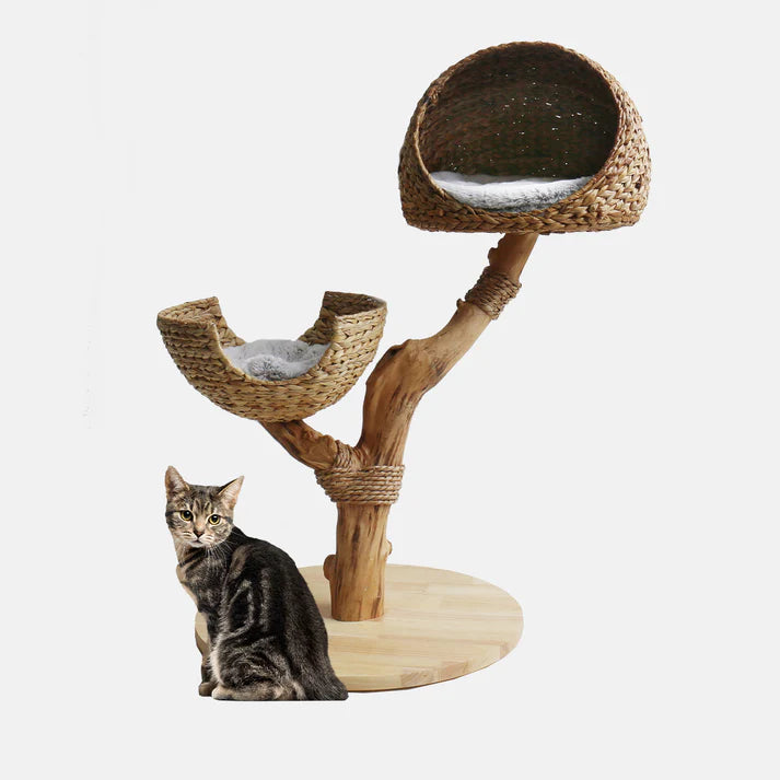 Cat Tree Sage - PETSTEP