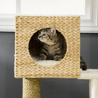 Cat Tree Scott - PETSTEP