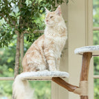Cat Tree Willow - PETSTEP