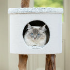 Cat Tree Willow - PETSTEP