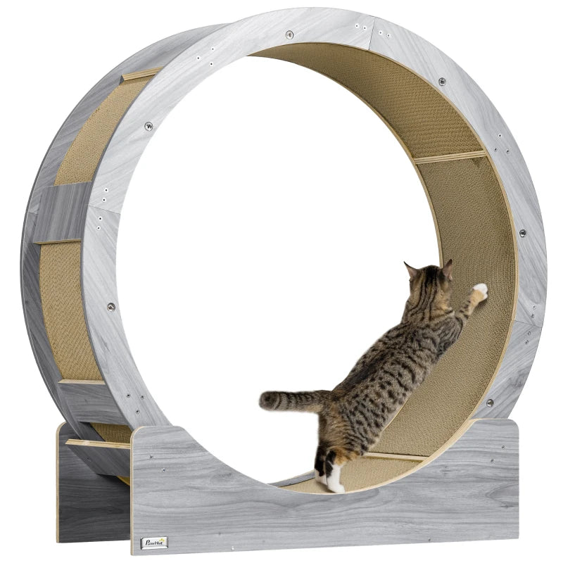 Cat Wheel Andy - PETSTEP