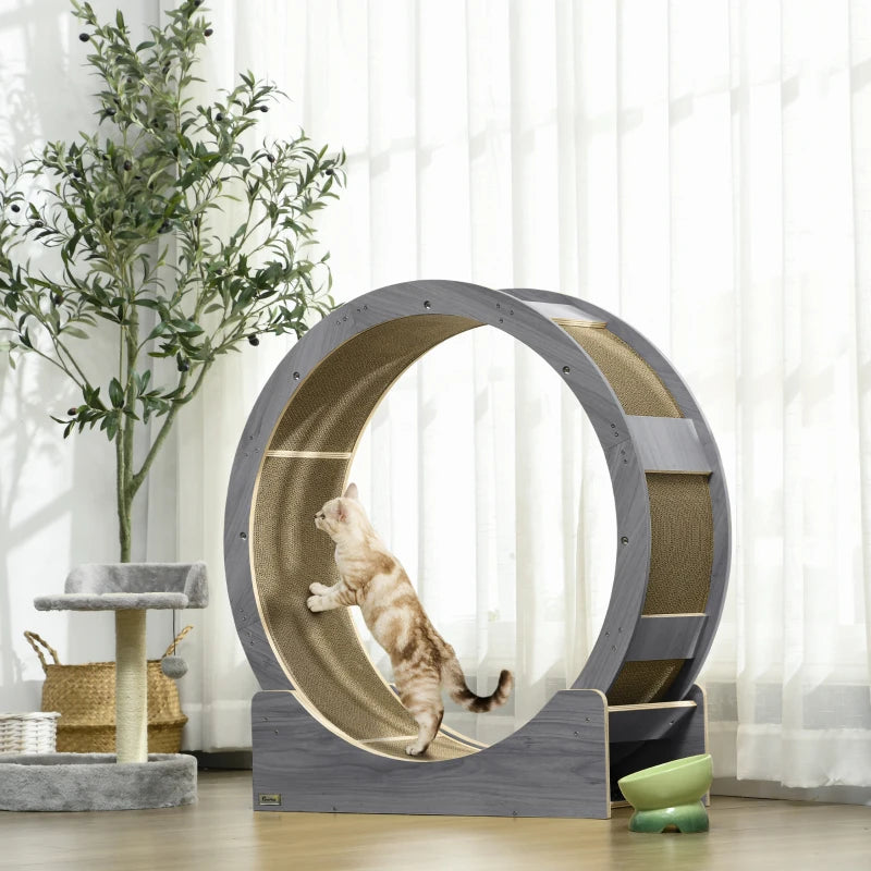 Cat Wheel Andy - PETSTEP