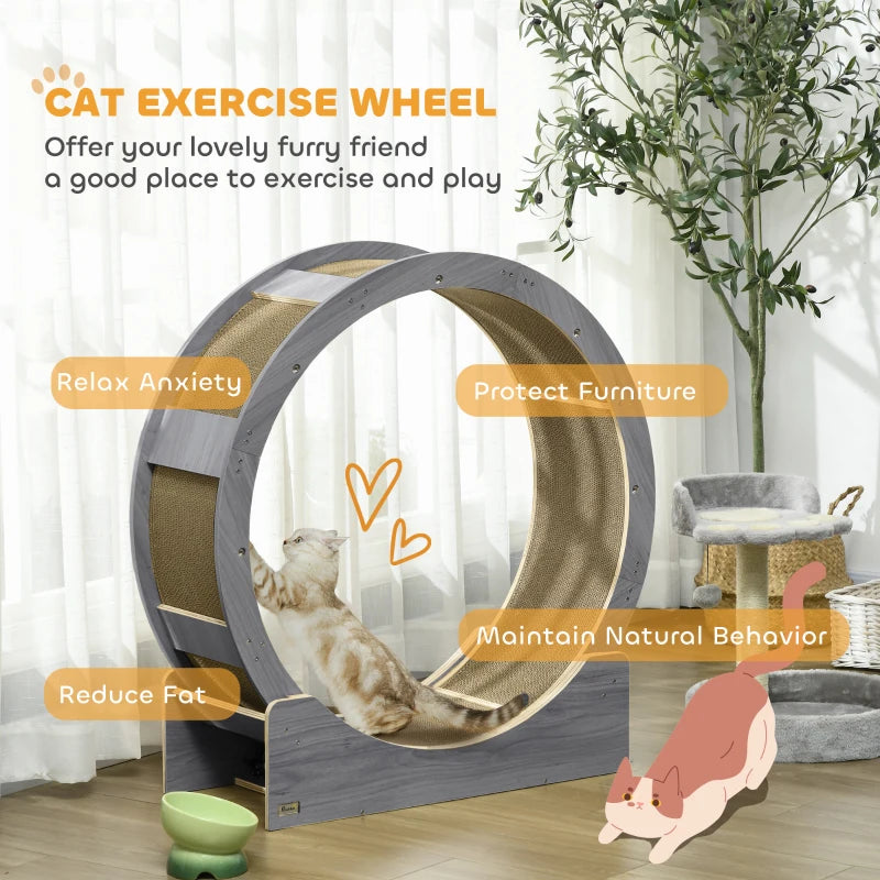Cat Wheel Andy - PETSTEP