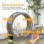 Cat Wheel Andy - PETSTEP