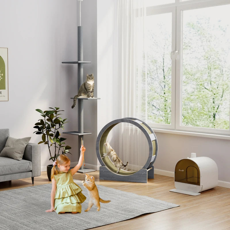 Cat Wheel Andy - PETSTEP