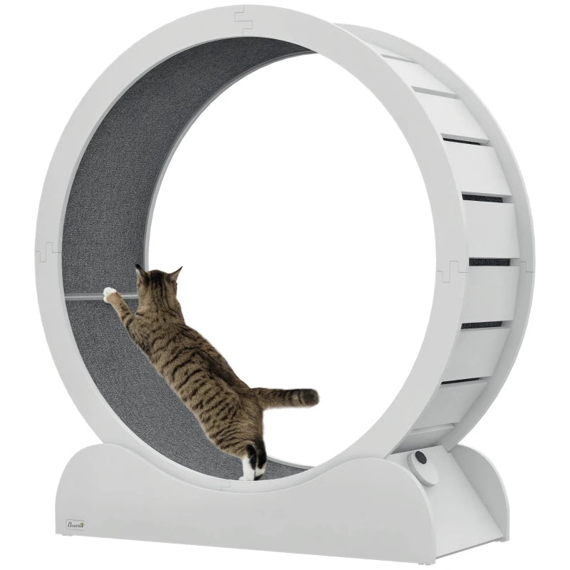 Cat Wheel Micha - PETSTEP