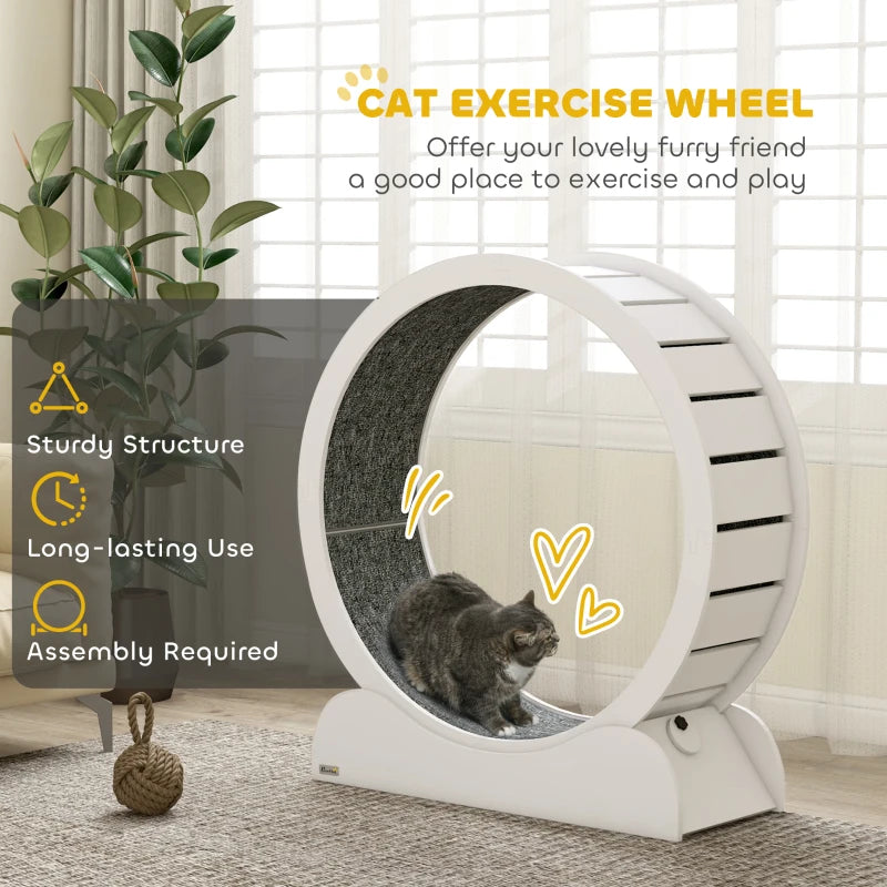 Cat Wheel Micha - PETSTEP