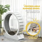 Cat Wheel Micha - PETSTEP