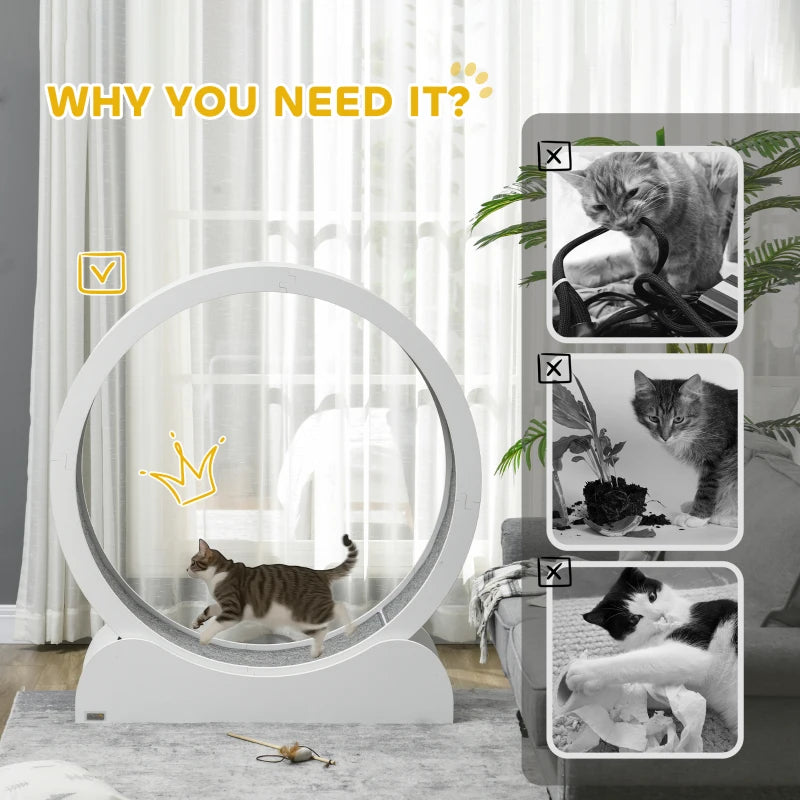 Cat Wheel Micha - PETSTEP