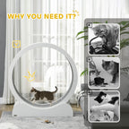 Cat Wheel Micha - PETSTEP