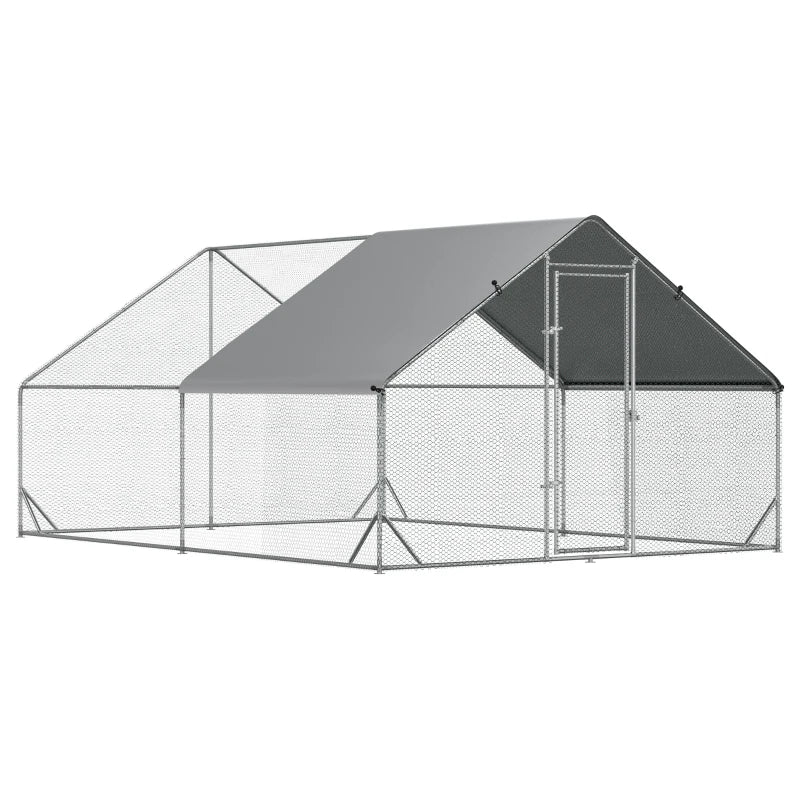 Chicken Coop Casey