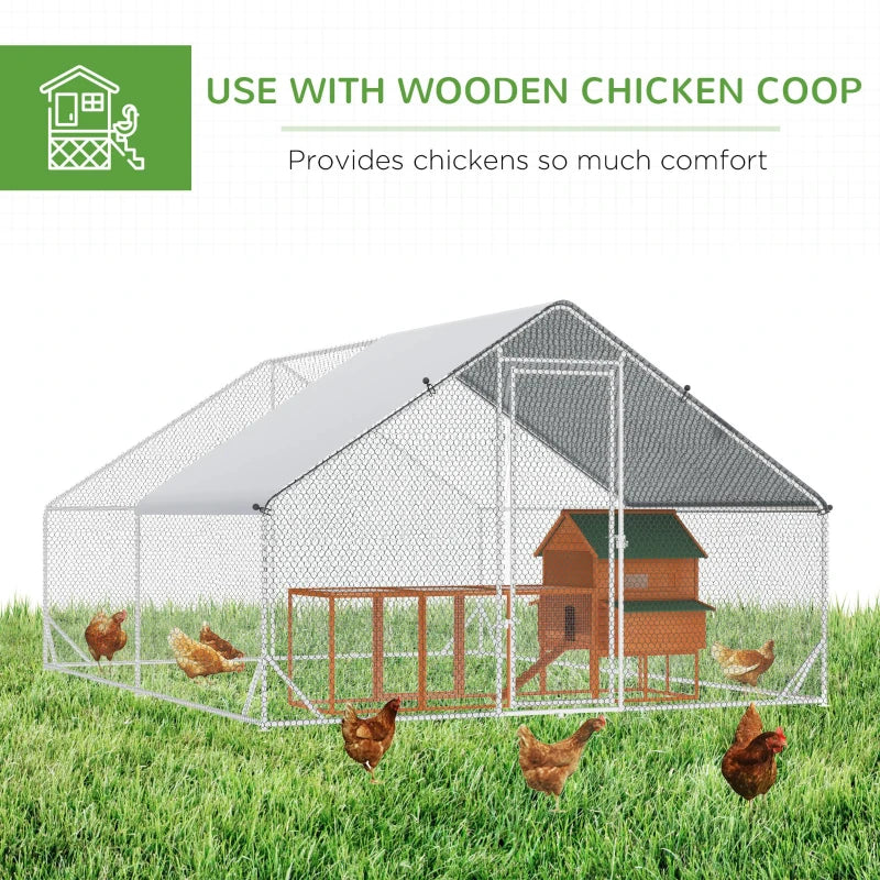 Chicken Coop Casey