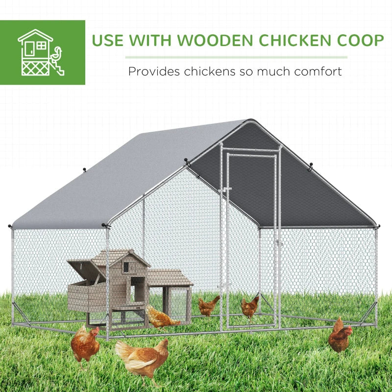 Chicken Coop Cody