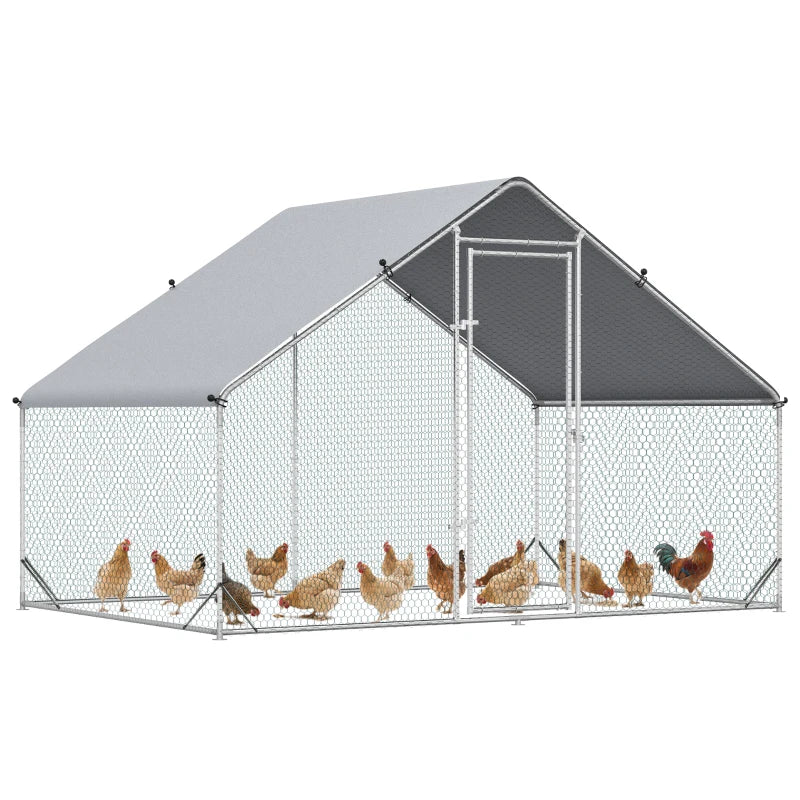 Chicken Coop Cody