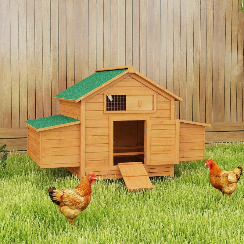 Chicken Coop Gabi