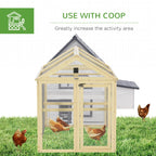 Chicken Coop Kelly