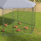 Chicken Coop Zack