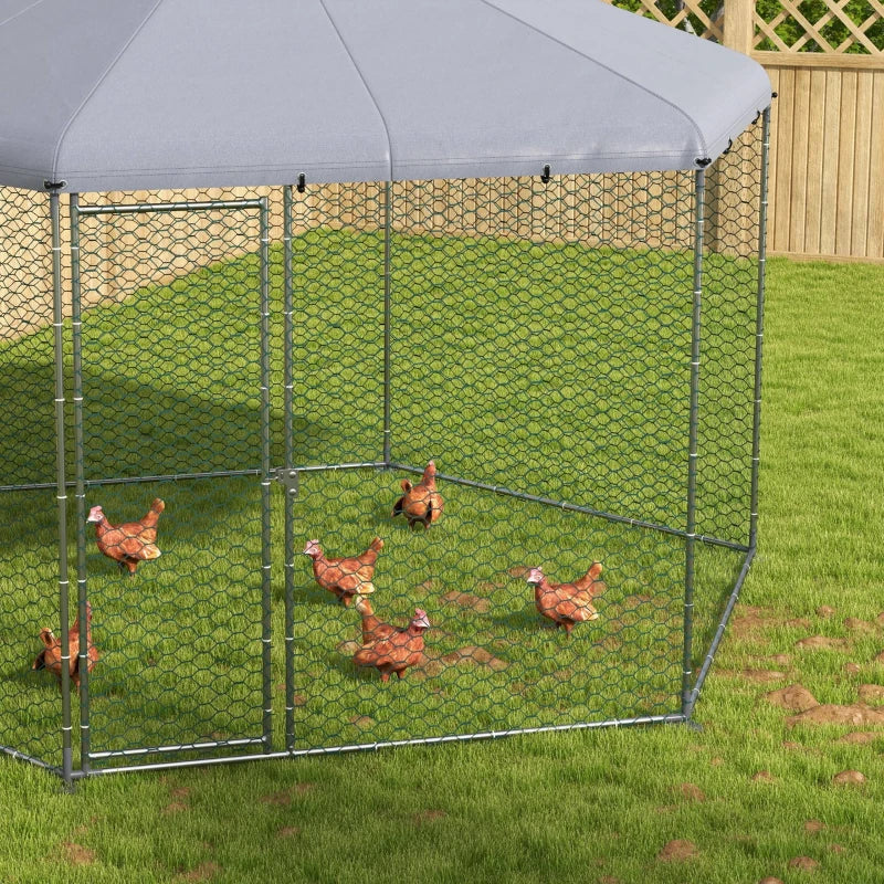 Chicken Coop Zack
