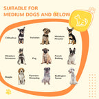 Dog Crate Dewa - PETSTEP