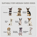 Dog Crate Micha - PETSTEP