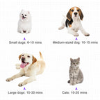 Pet Grooming Dryer & Blower Kiera