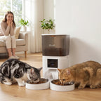 Pet Feeder Mia - PETSTEP