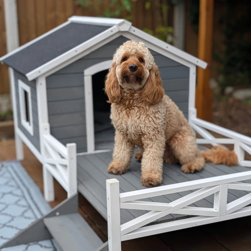 Pet House Tony - PETSTEP