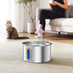 Pet Water Fountain Zippy