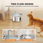 Pet Water Fountain Zippy