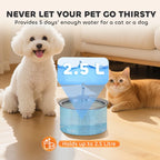 Pet Water Fountain Zippy