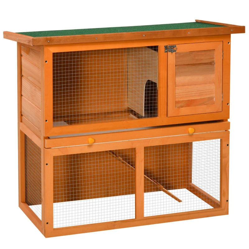 Rabbit Hutch Rally - PETSTEP