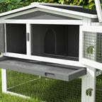 Rabbit Hutch Taula - PETSTEP